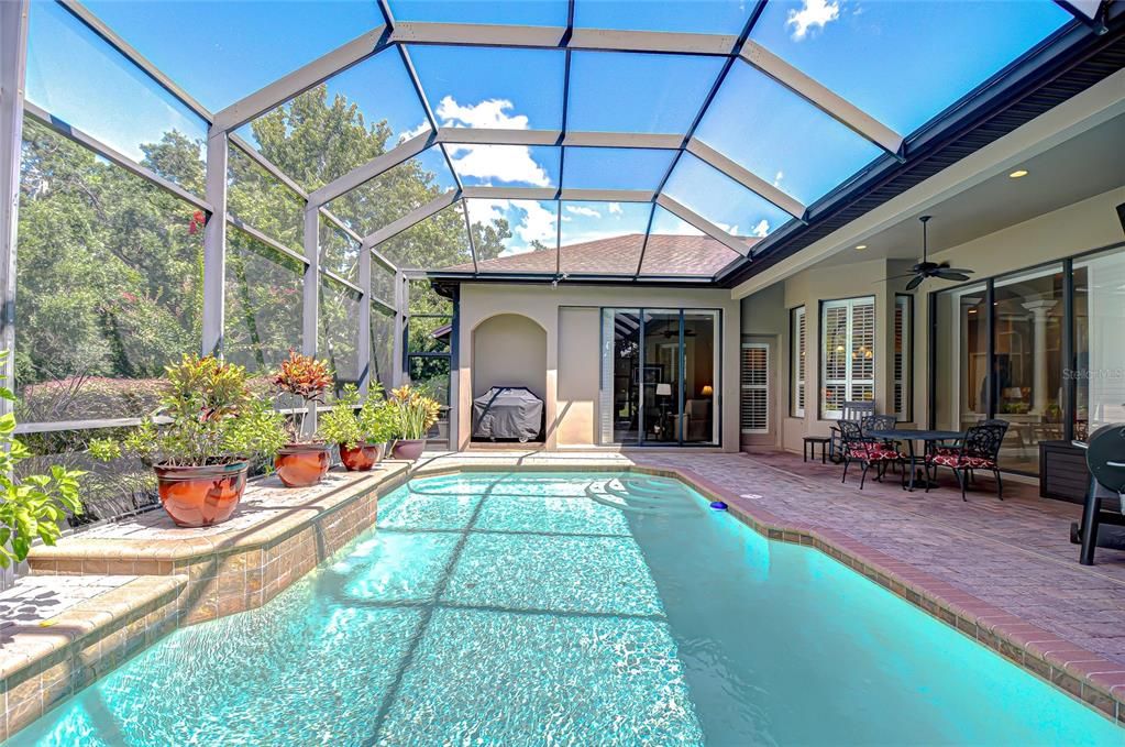 Glass Ceilings, Interior, Pool, Sun Room