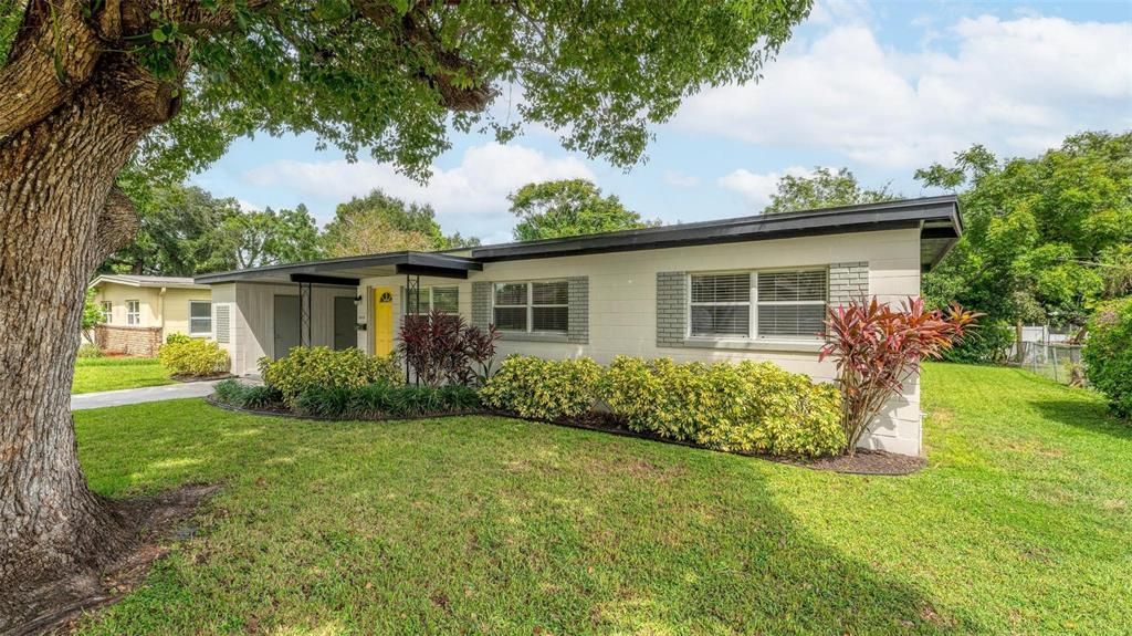 Backyard, Exterior, Facade, Ranch