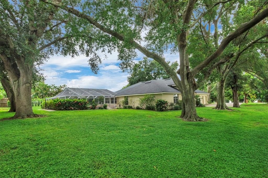 Backyard, Exterior