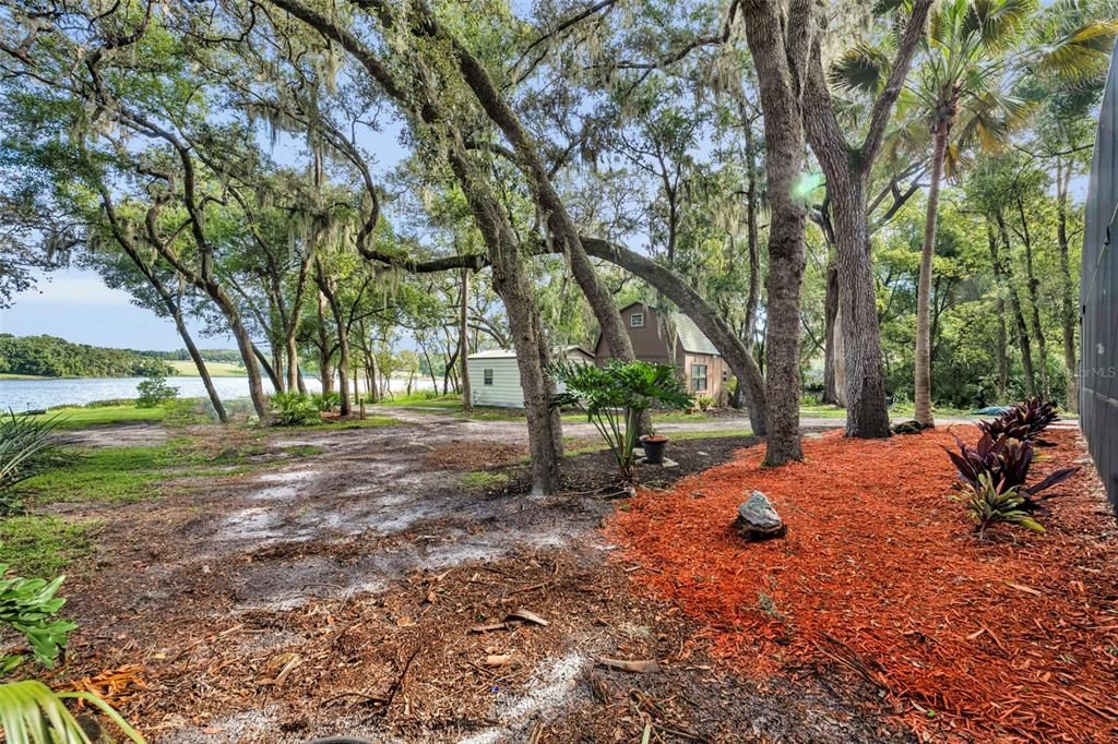 Backyard, Exterior, Water