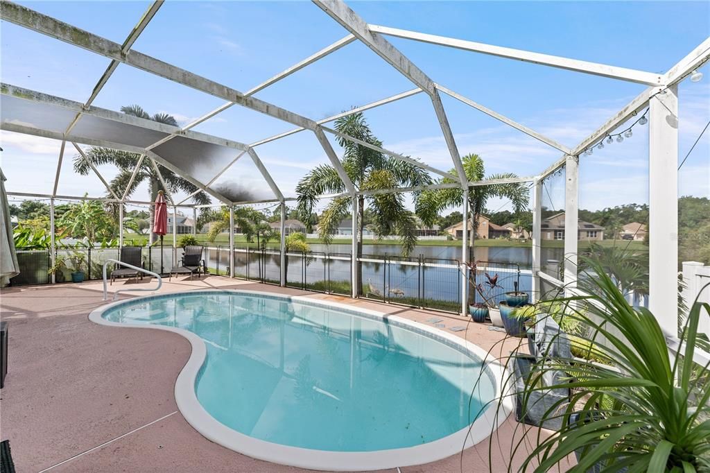 Glass Ceilings, Interior, Pool, Sun Room, Water