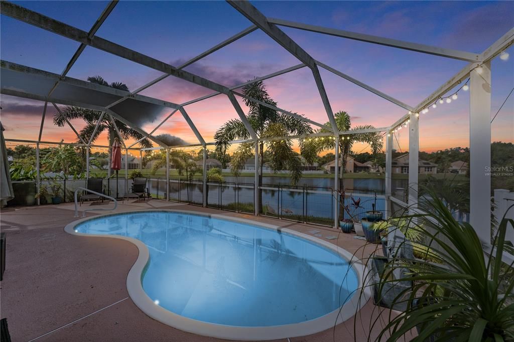 Glass Ceilings, Interior, Pool, Sun Room, Water