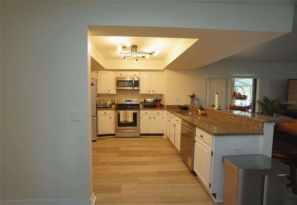 Interior, Kitchen, Stainless Steel Appliances, Wood Texture Flooring