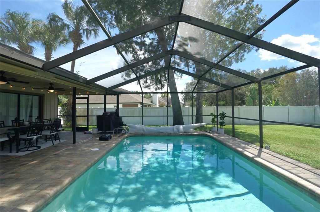 Glass Ceilings, Interior, Pool, Sun Room