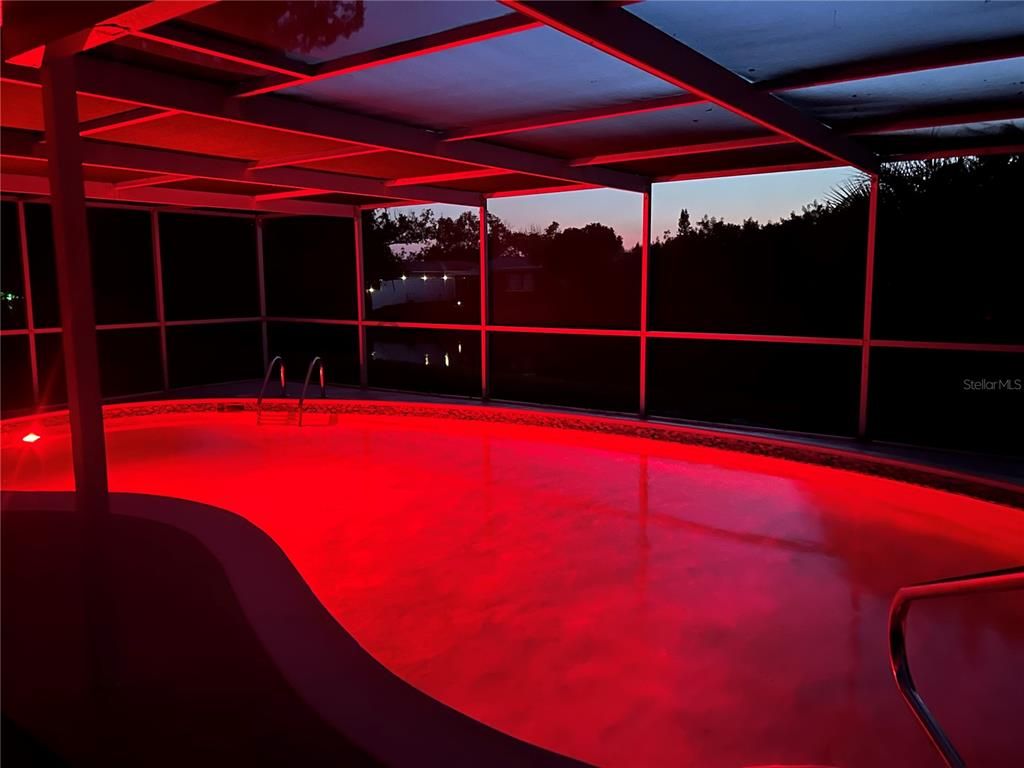 Glass Ceilings, Interior, Pool, Sun Room