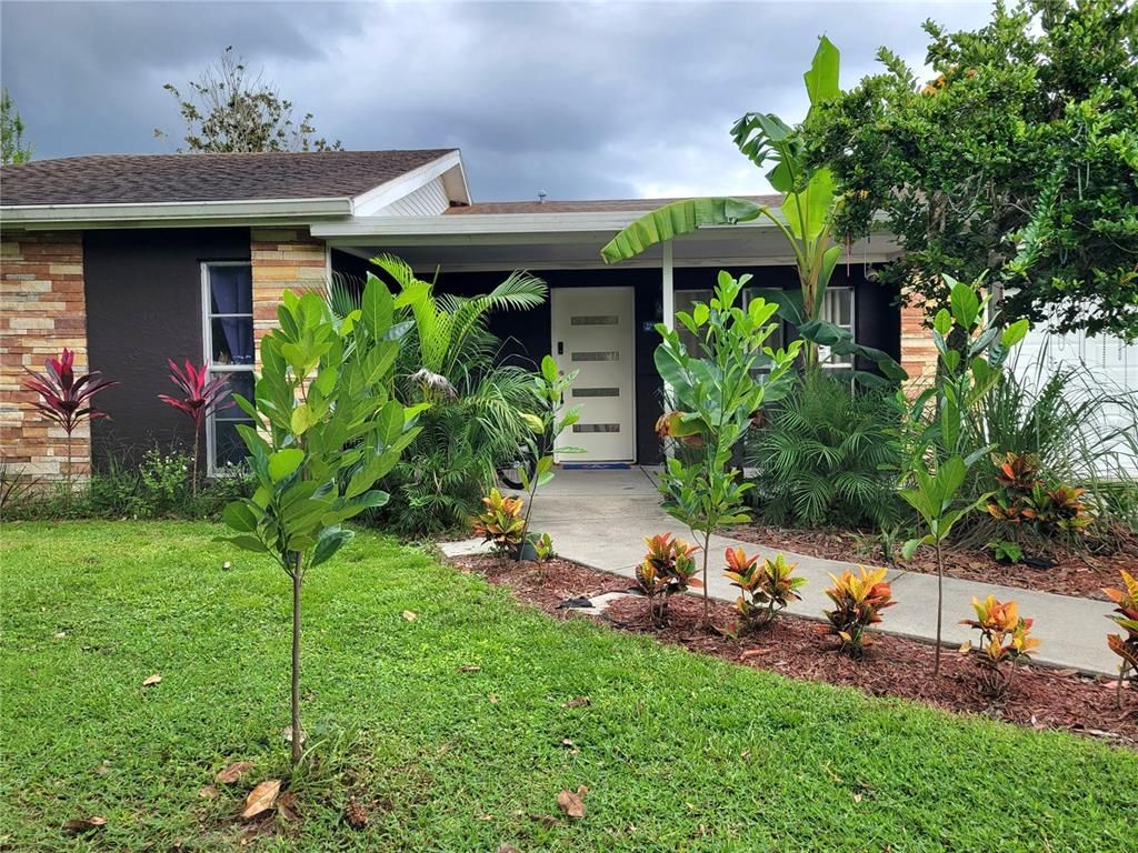 Backyard, Exterior