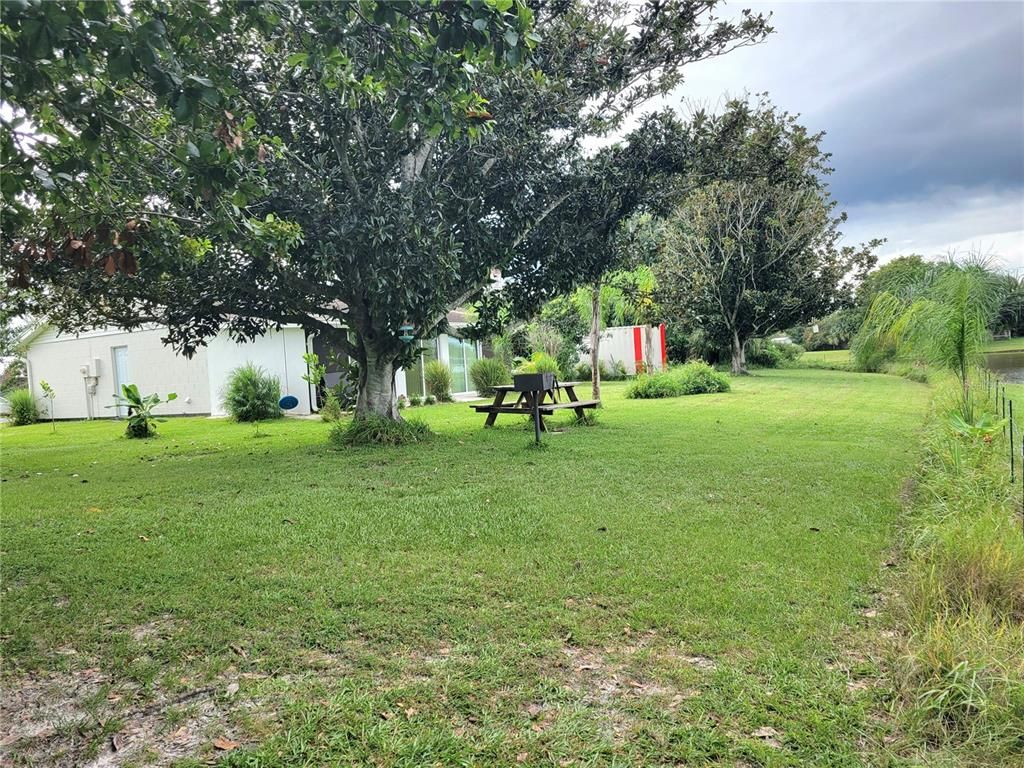 Backyard, Exterior