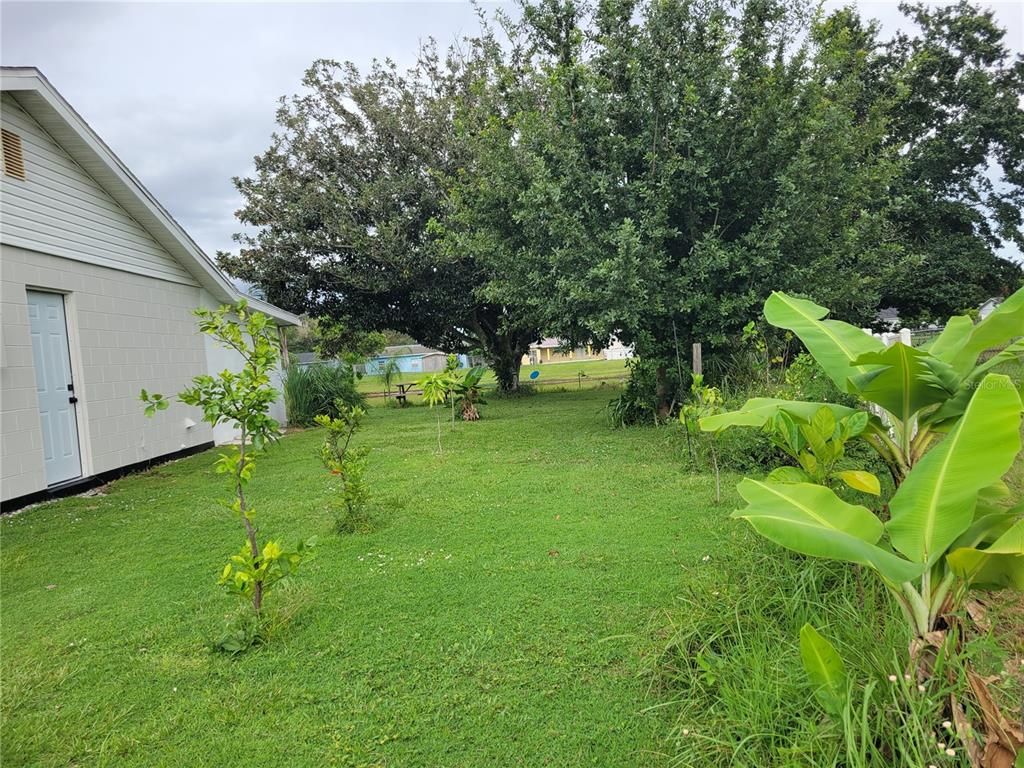 Backyard, Exterior