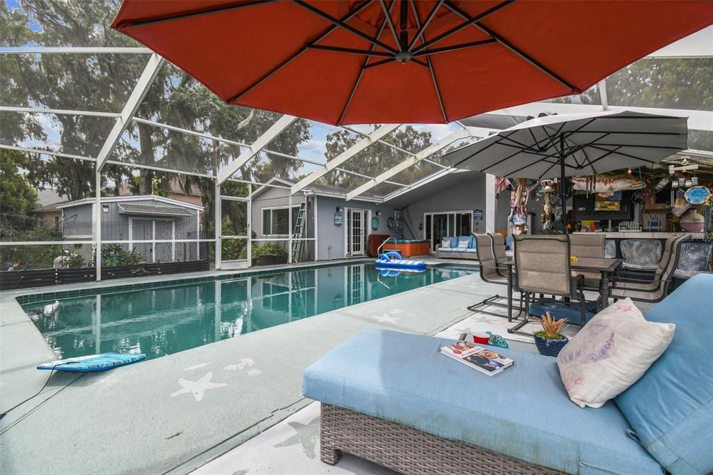 Glass Ceilings, Interior, Pool, Sun Room