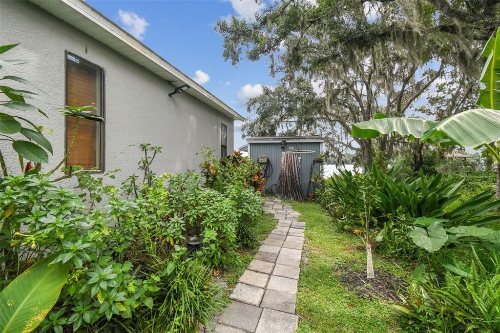 Backyard, Exterior