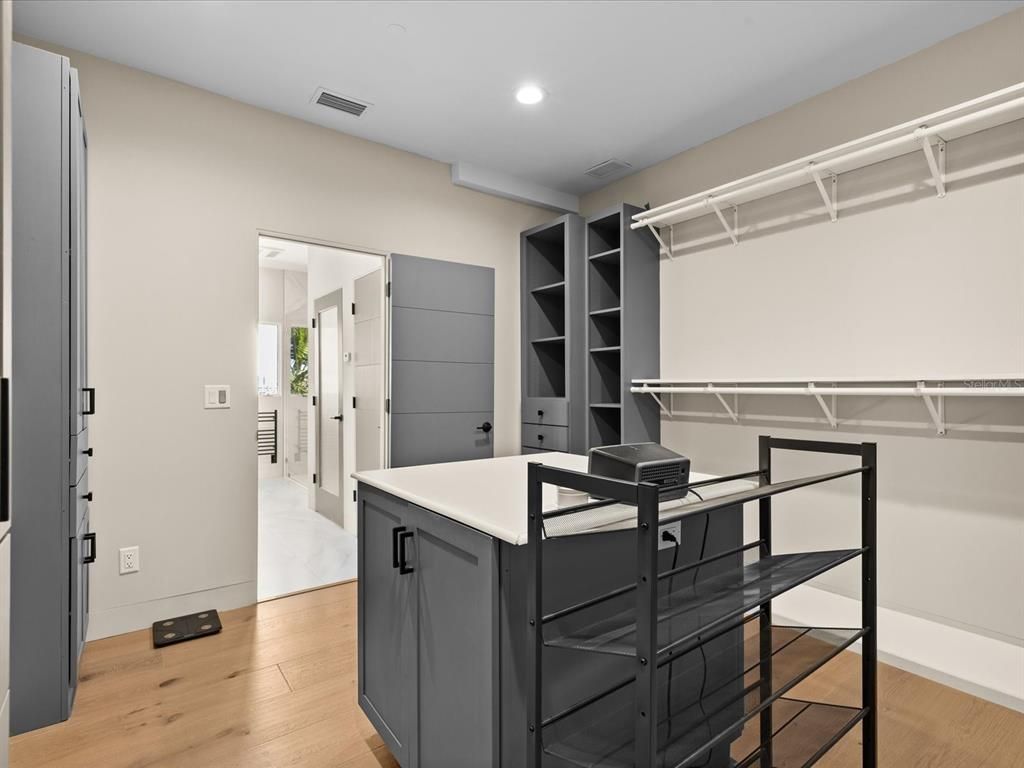 Interior, Recessed Lighting, Walk-in Closets, Wood Texture Flooring