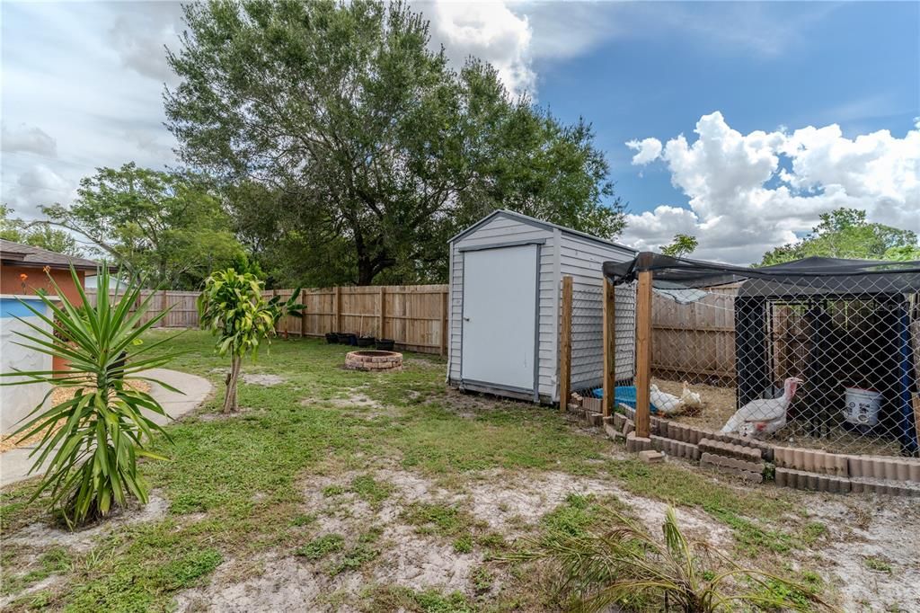 Backyard, Exterior