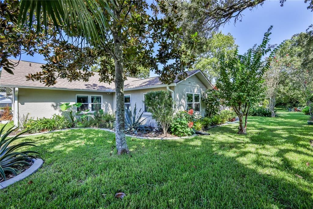 Backyard, Exterior