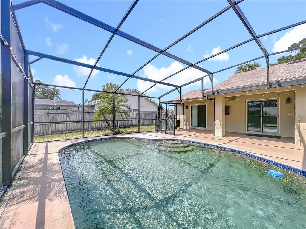 Glass Ceilings, Interior, Pool, Sun Room