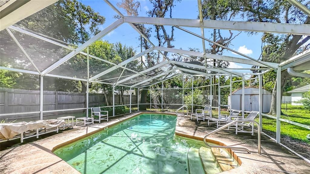Glass Ceilings, Interior, Pool, Sun Room