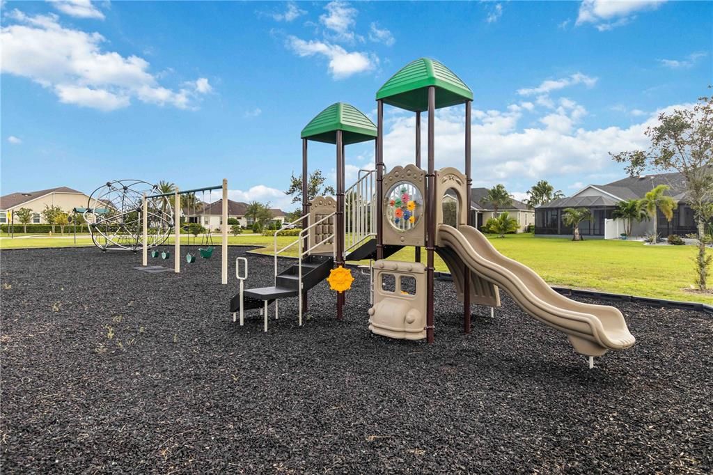 Backyard, Exterior, Playground