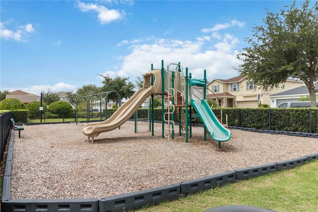 Backyard, Exterior, Playground