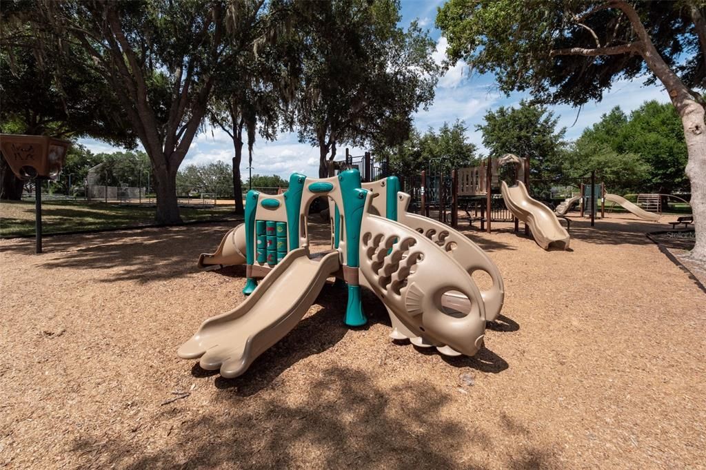 Backyard, Exterior, Playground