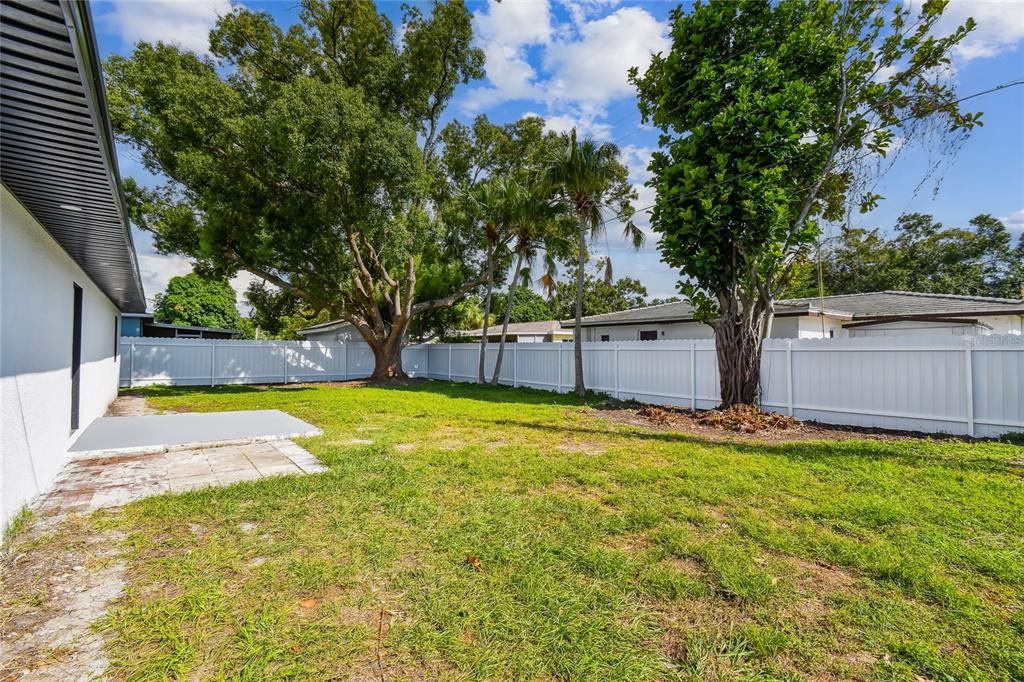 Backyard, Exterior