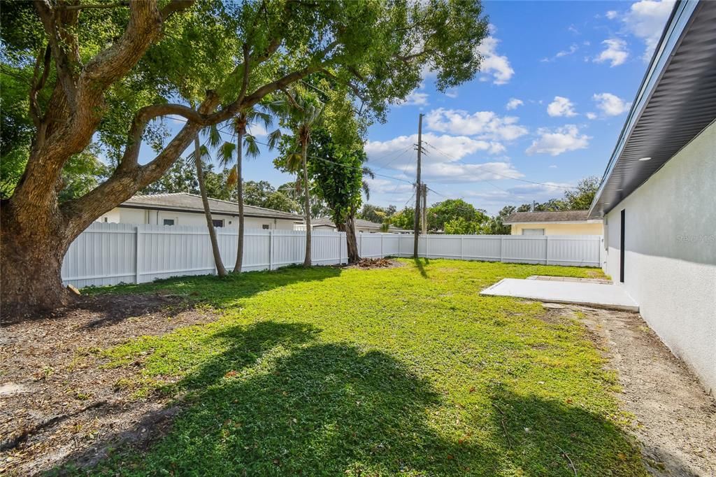 Backyard, Exterior