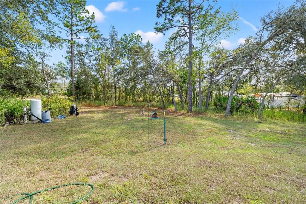 Backyard, Exterior