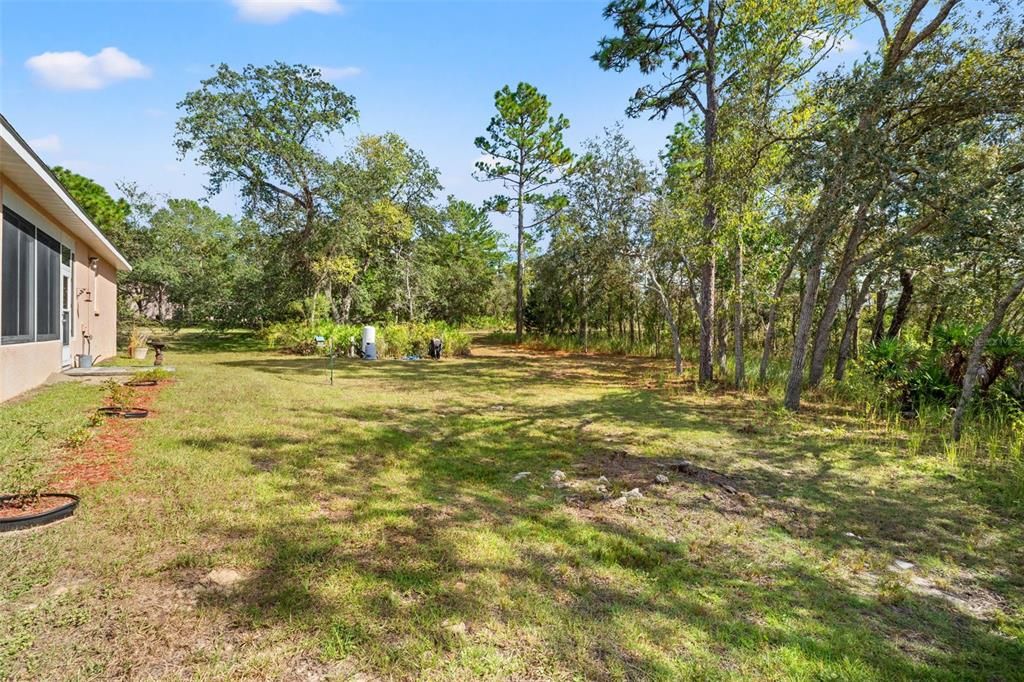 Backyard, Exterior