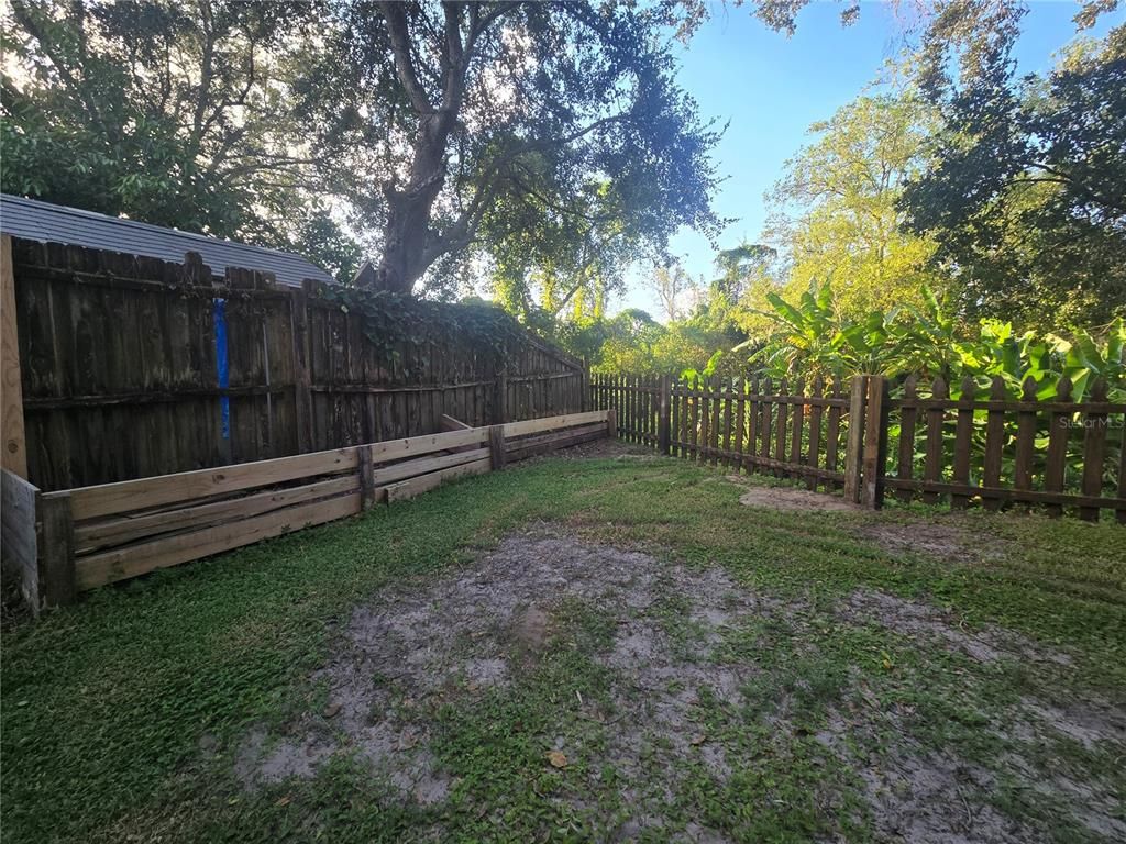 Backyard, Exterior