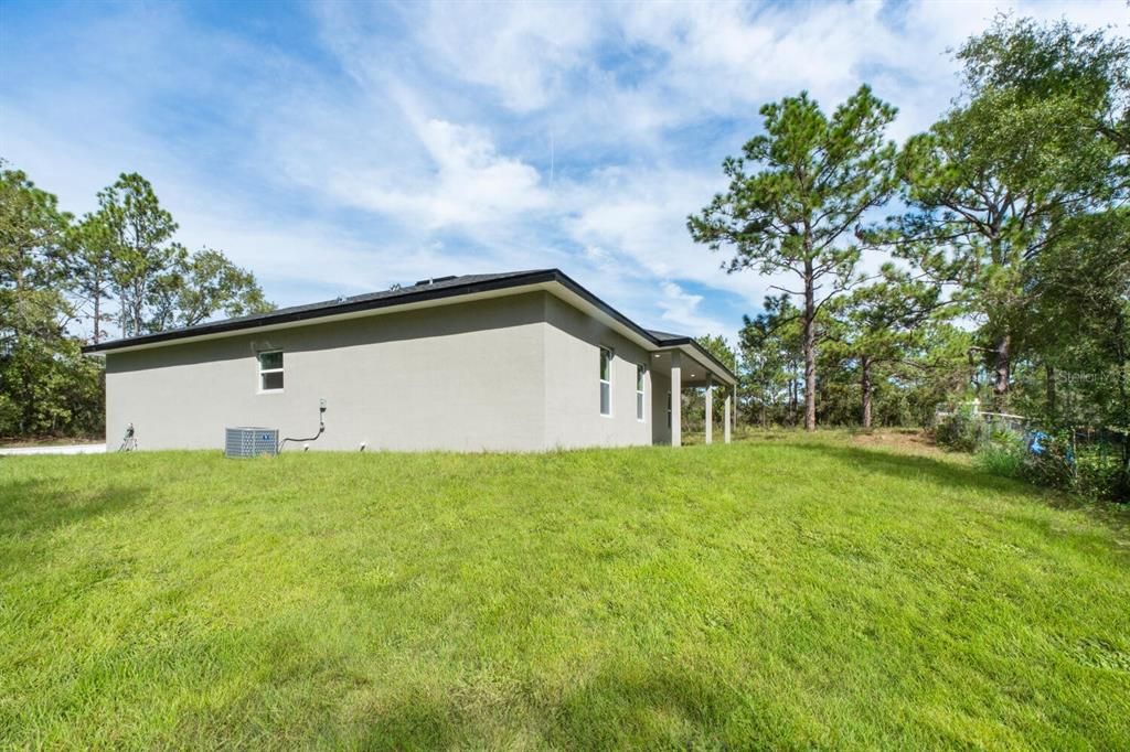 Backyard, Exterior