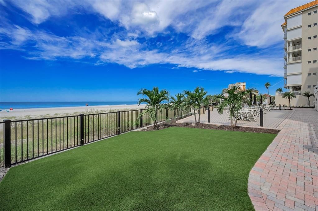 Backyard, Exterior, Water