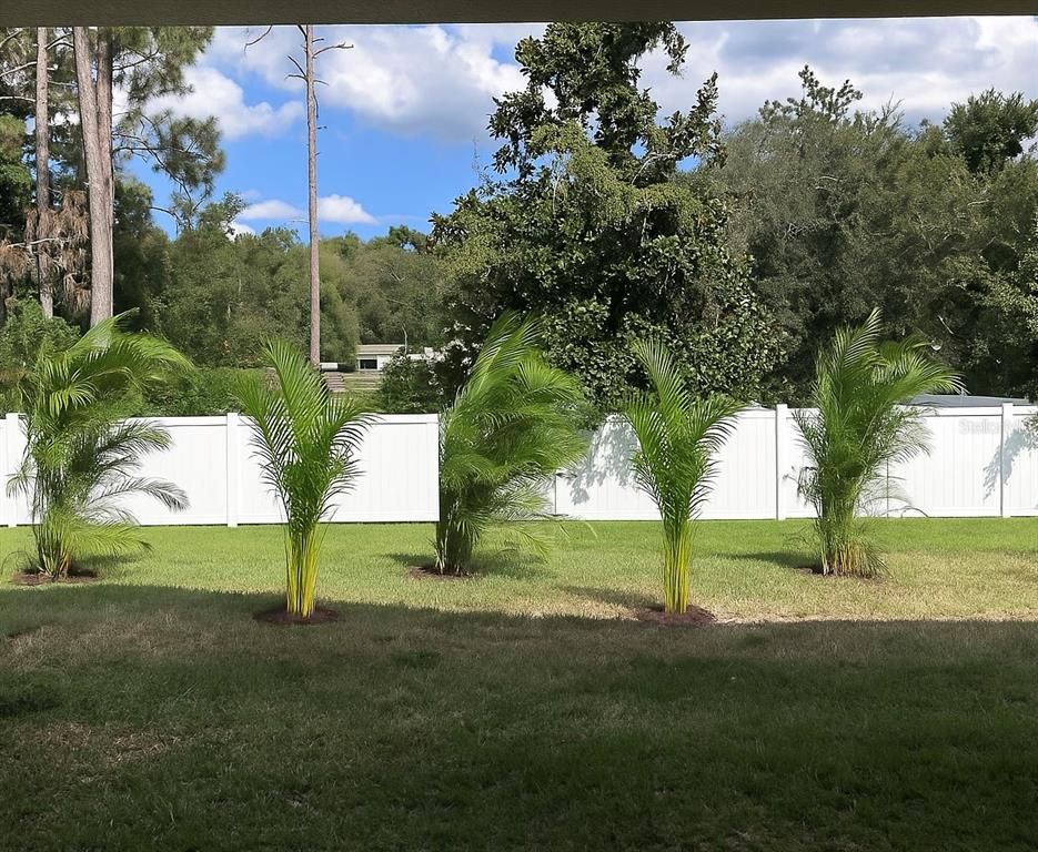 Backyard, Exterior