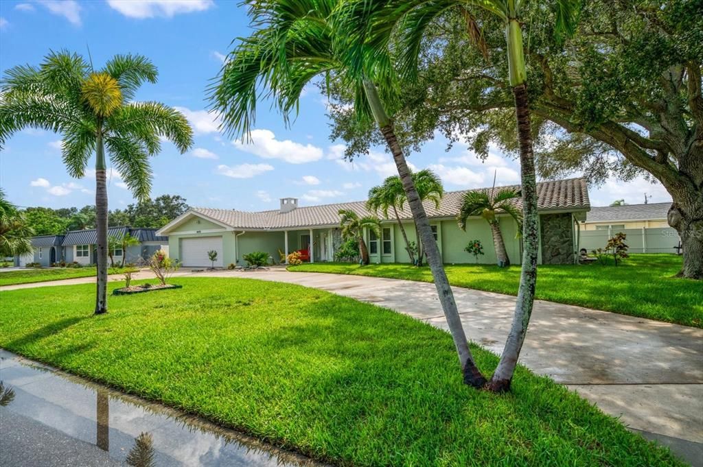 Backyard, Exterior