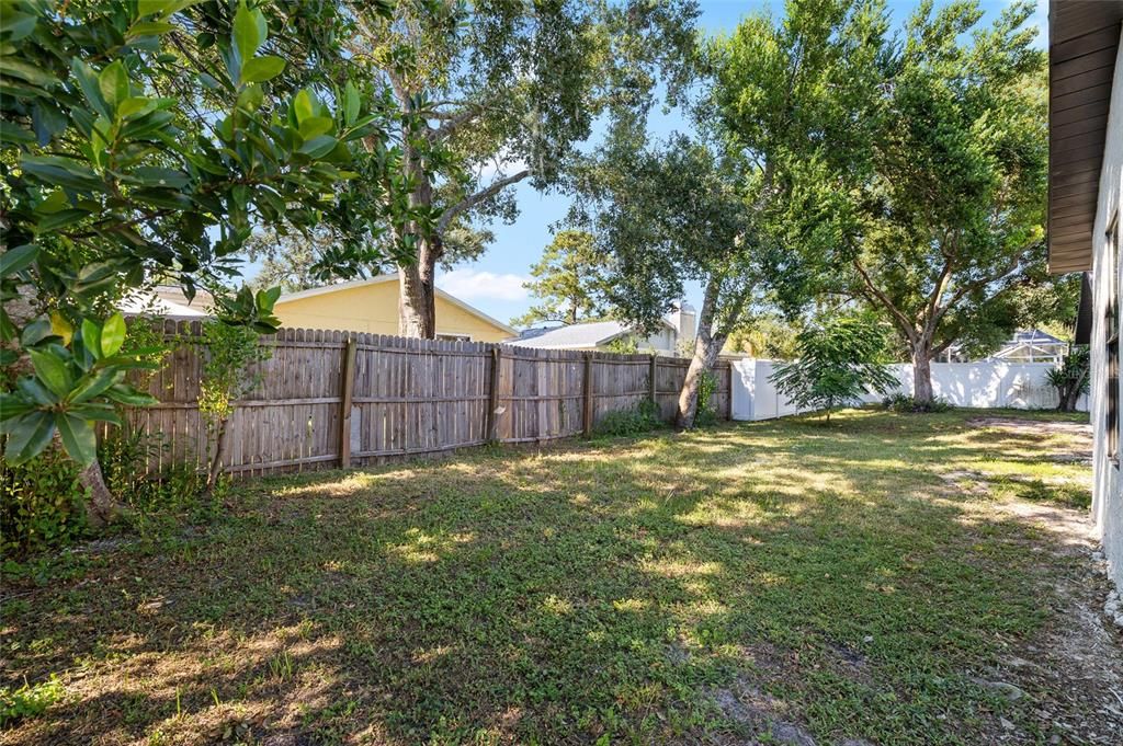 Backyard, Exterior