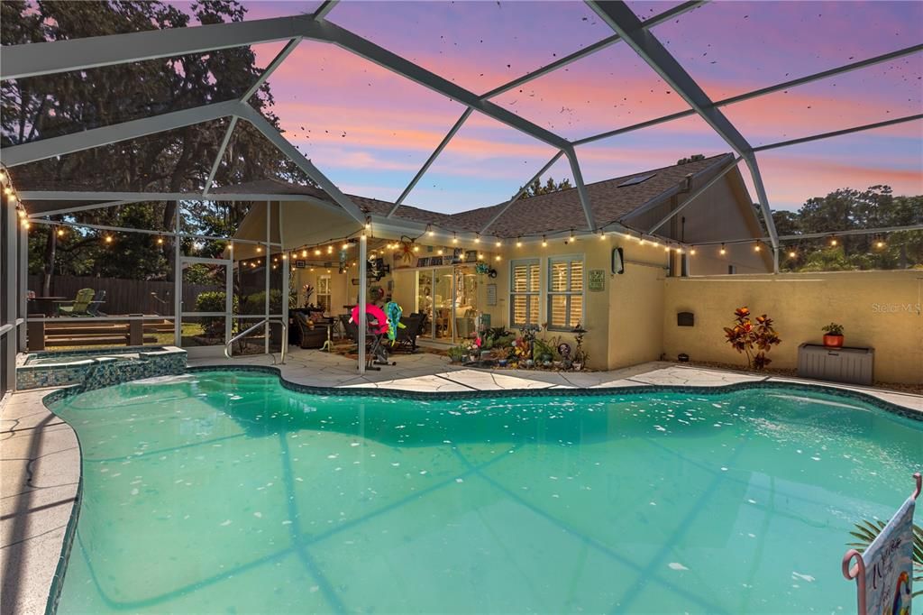 Glass Ceilings, Interior, Pool, Sun Room
