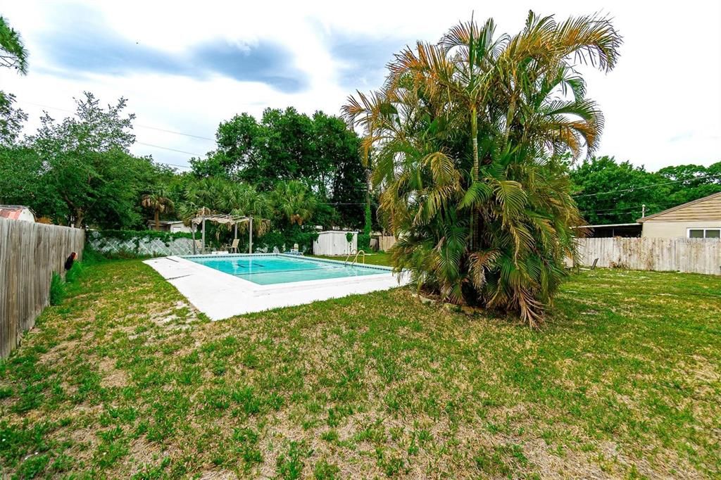 Backyard, Exterior, Pool