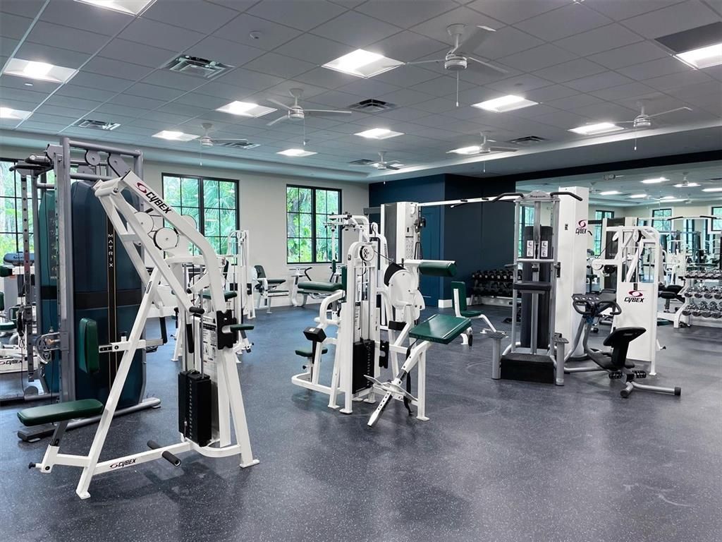 Fitness Equipment, Gym, Interior, Recessed Lighting