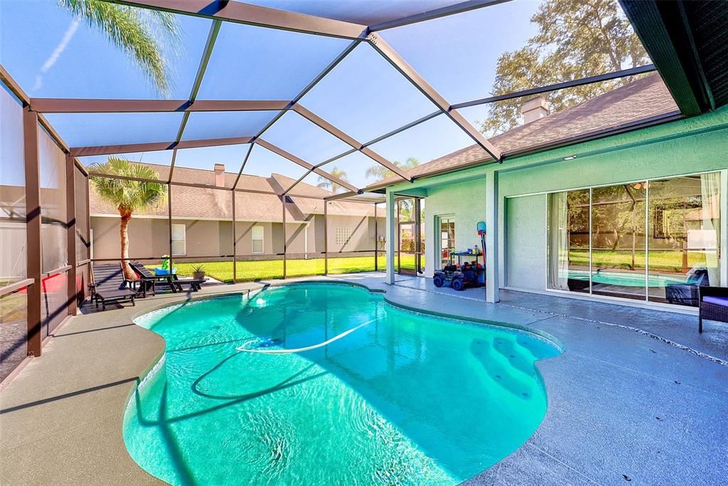 Glass Ceilings, Interior, Pool, Sun Room