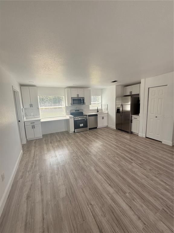 Interior, Kitchen, Stainless Steel Appliances, Wood Texture Flooring