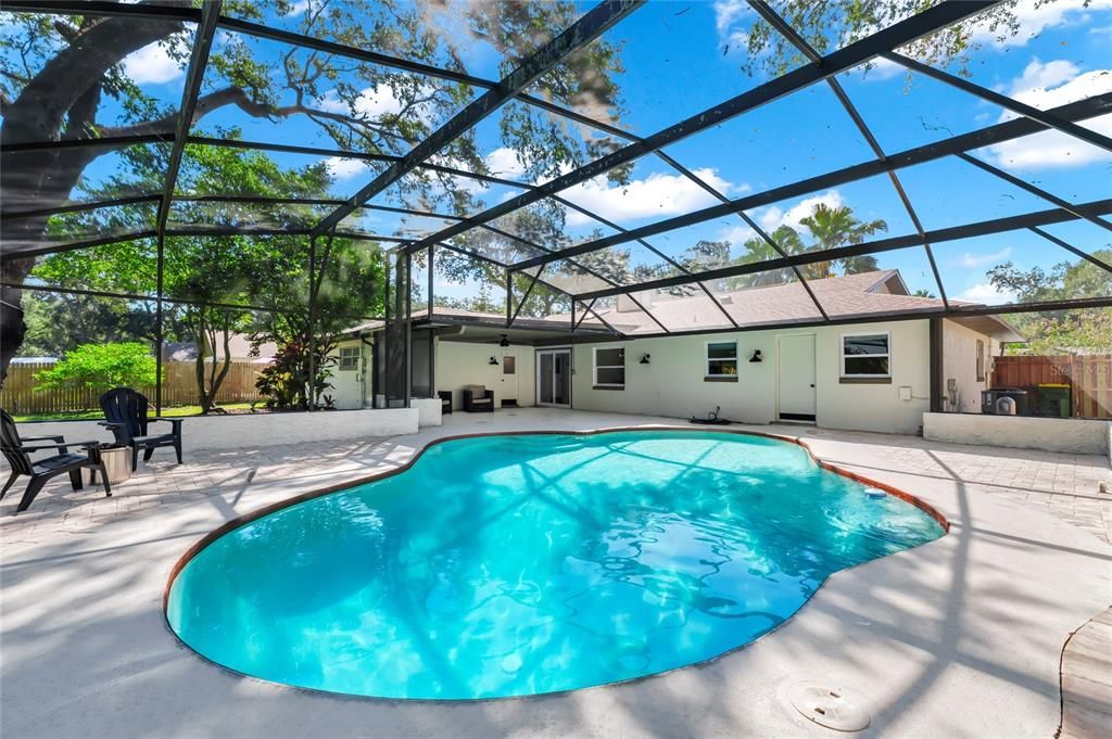 Glass Ceilings, Interior, Pool, Sun Room