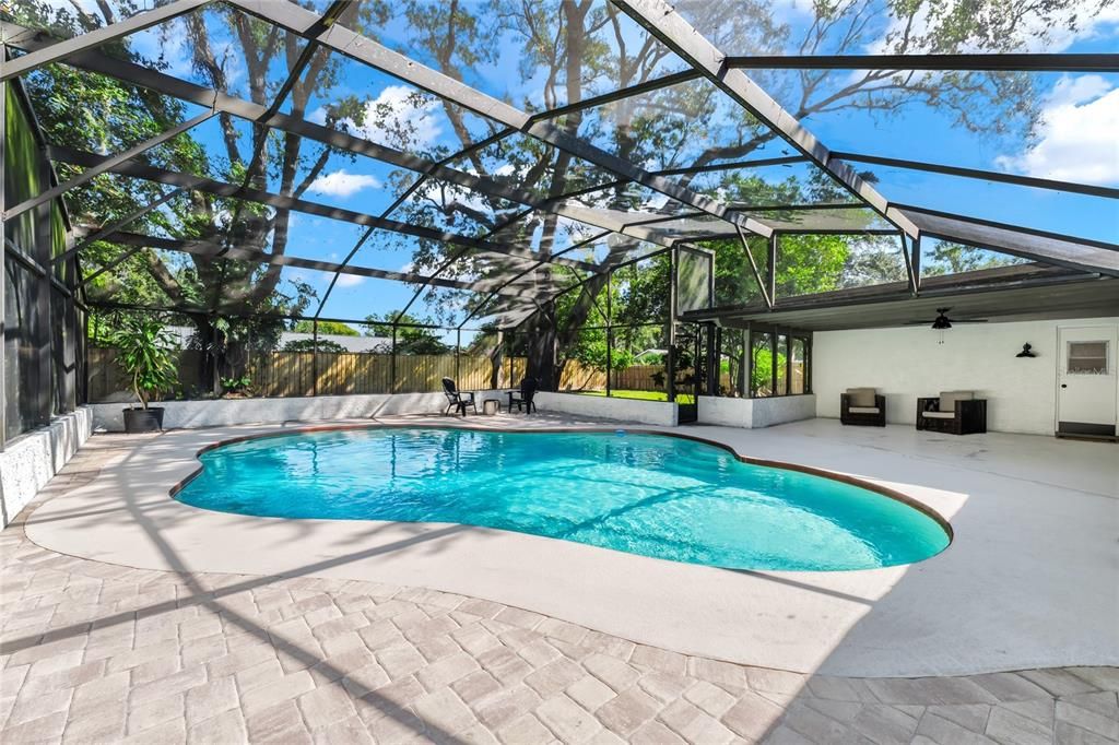 Glass Ceilings, Interior, Pool, Sun Room