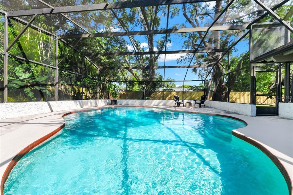 Glass Ceilings, Interior, Pool, Sun Room