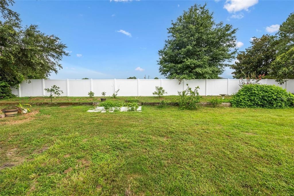 Backyard, Exterior