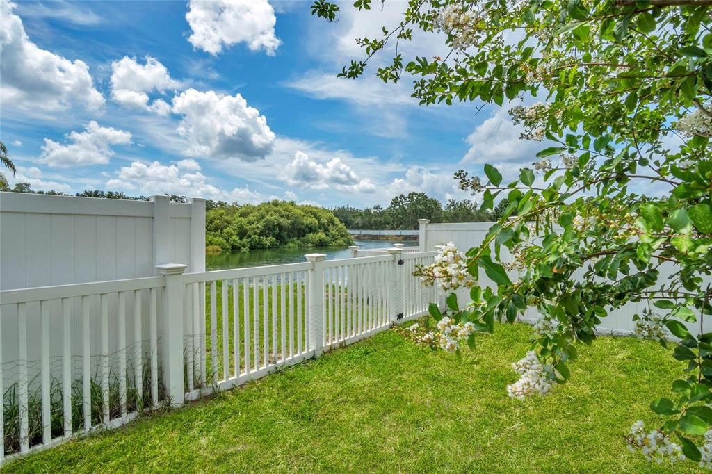 Backyard, Exterior, Water