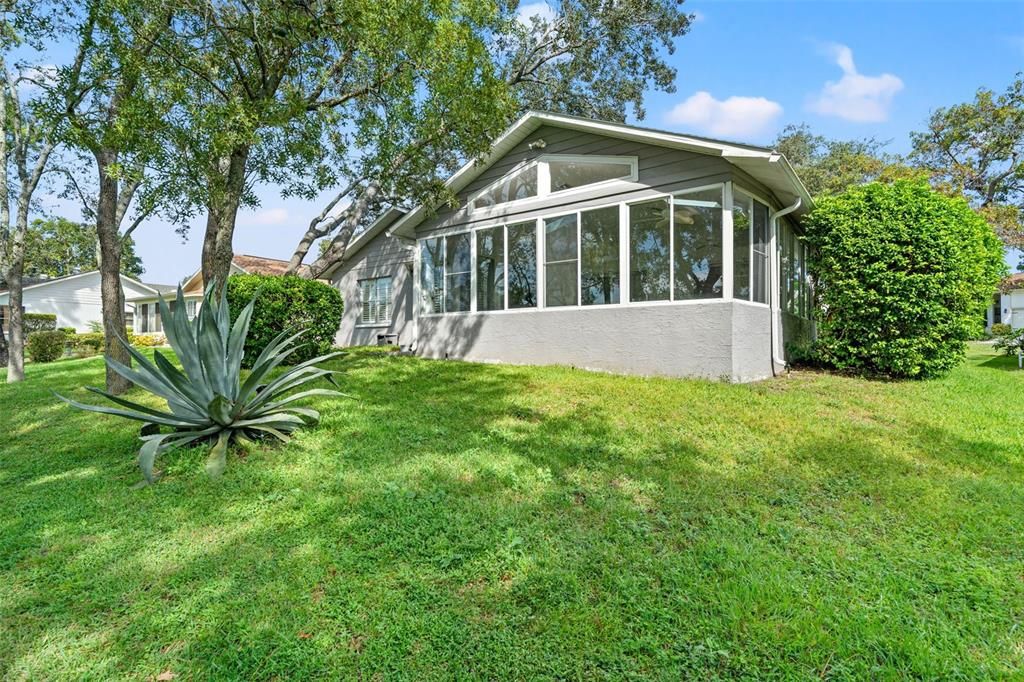 Backyard, Exterior