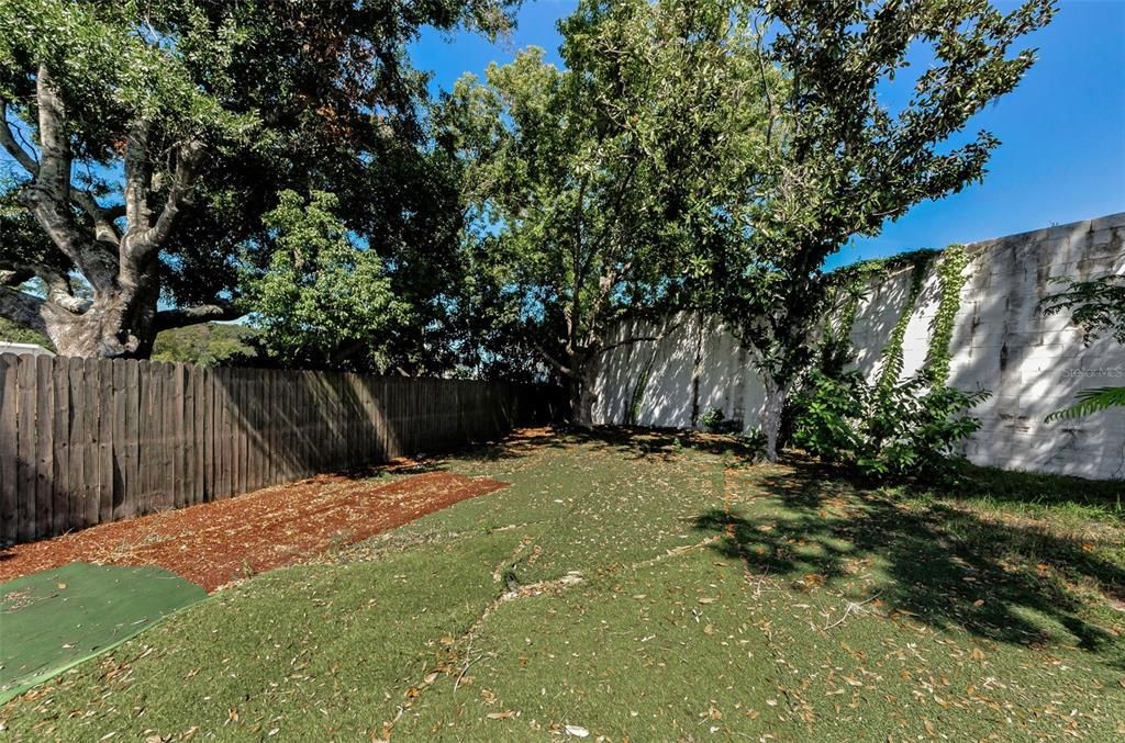 Backyard, Exterior