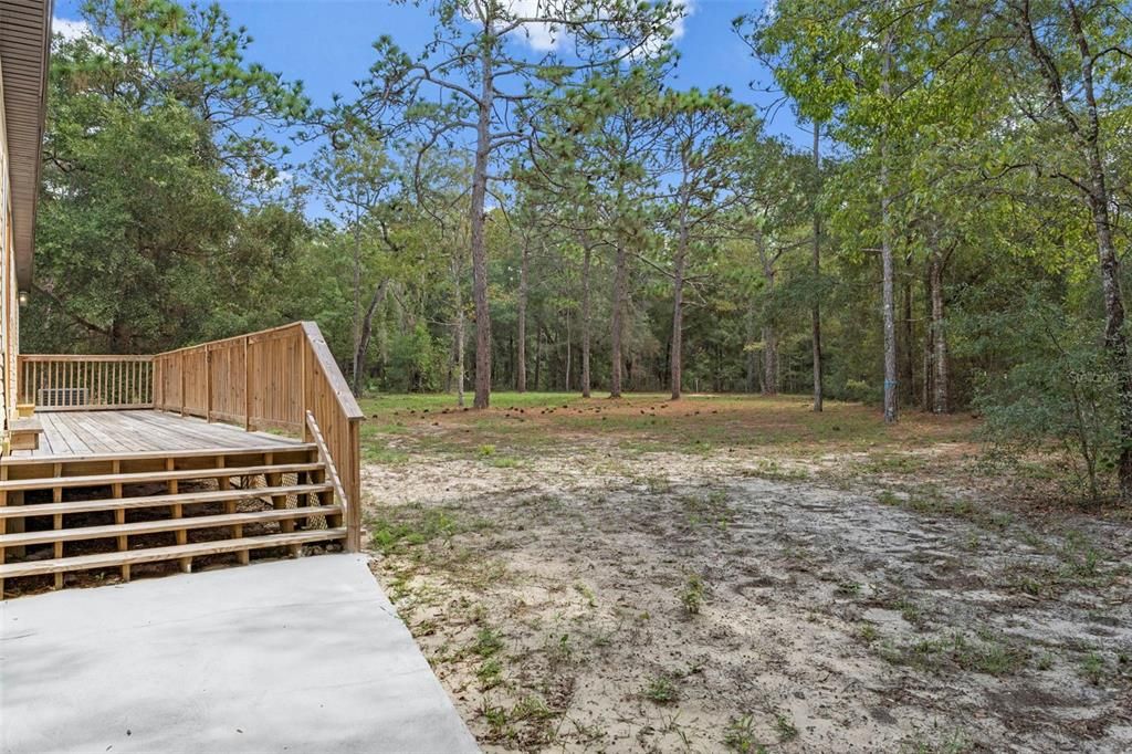 Backyard, Exterior