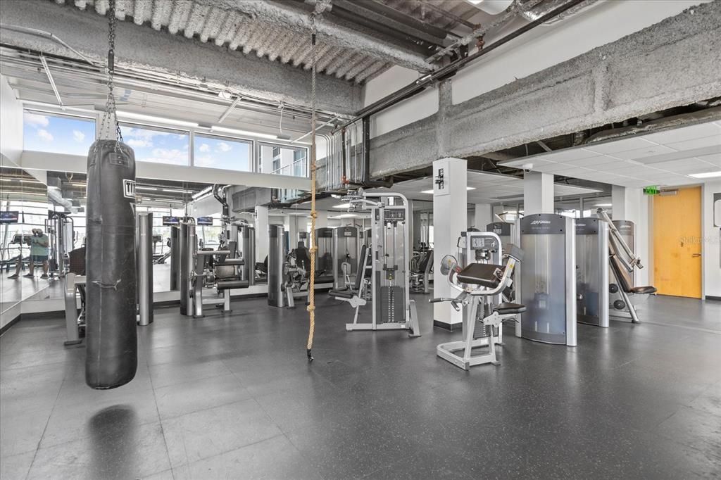 Fitness Equipment, Gym, Interior