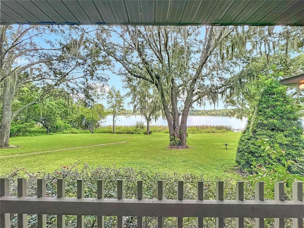 Backyard, Exterior, Water