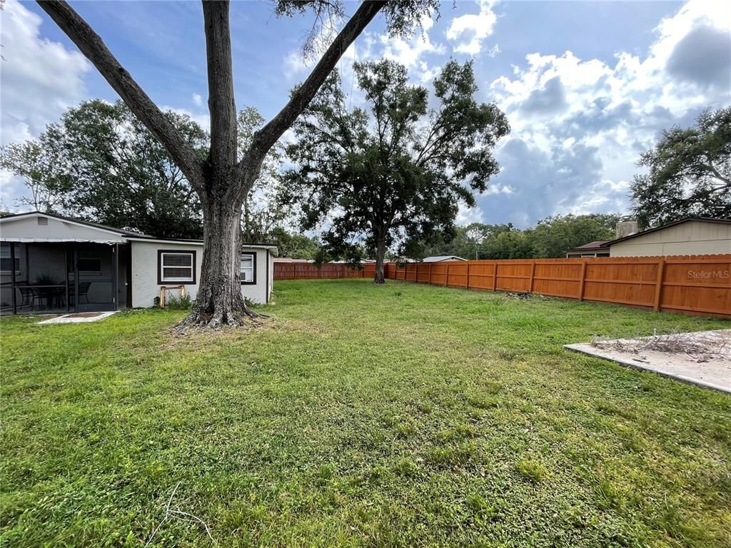 Backyard, Exterior