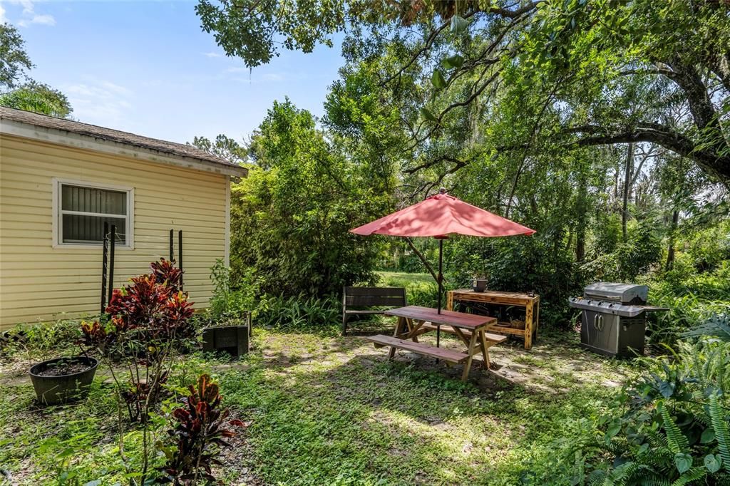 Backyard, Exterior