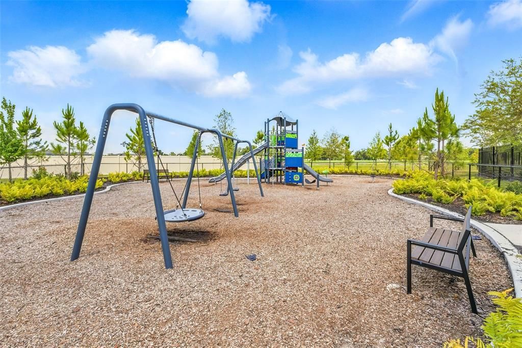 Backyard, Exterior, Playground